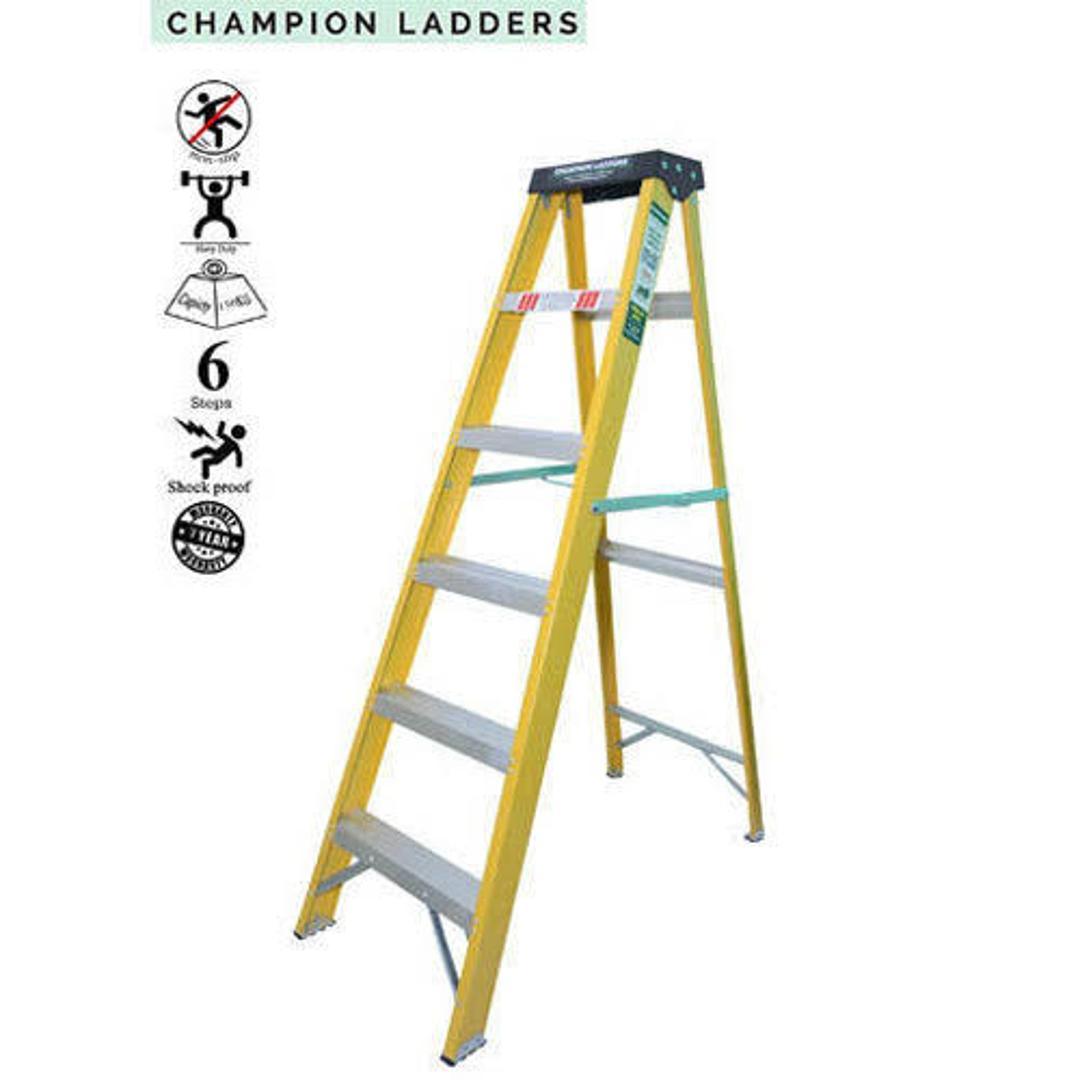FRP Ladder